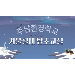 2023년 1월)겨울철새 탐조교실