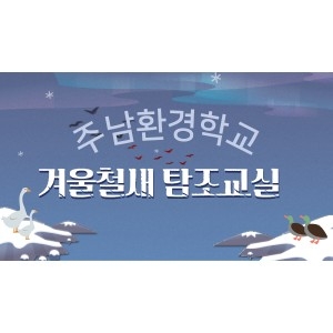 24년11월겨울철새탐조교실(도계초)